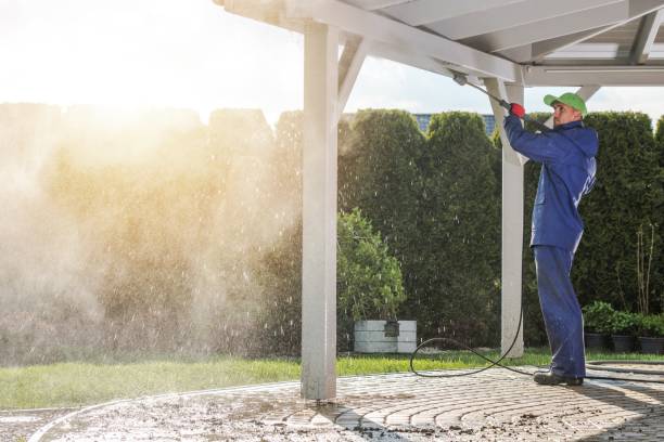 Solar Panel Cleaning in Kenyon, MN