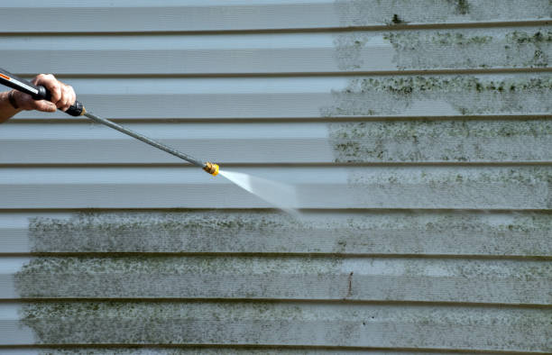 Best Driveway Pressure Washing  in Kenyon, MN
