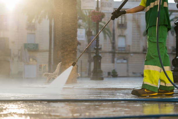 Best House Exterior Washing  in Kenyon, MN